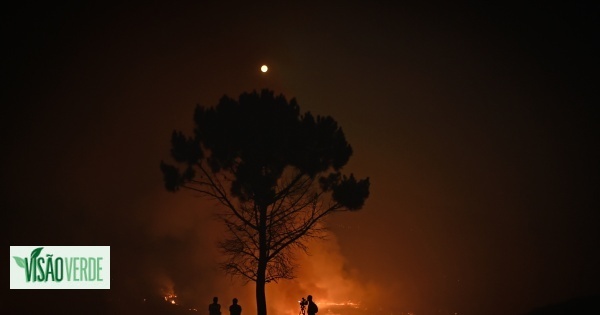 Incêndio da Serra da Estrela é o mais extenso desde Pedrógão Grande
